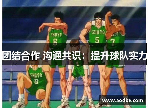 团结合作 沟通共识：提升球队实力