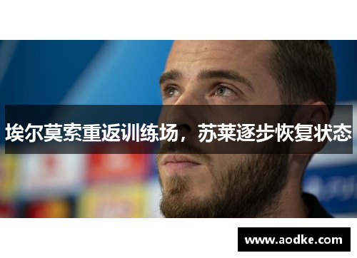 埃尔莫索重返训练场，苏莱逐步恢复状态